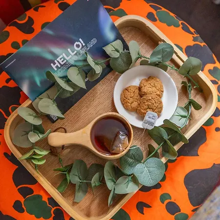 Aurora Loft-rovaniemi Downtown *