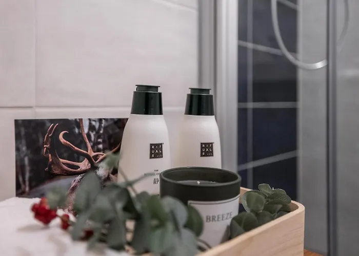 Aurora Loft-rovaniemi Downtown * Rovaniemi